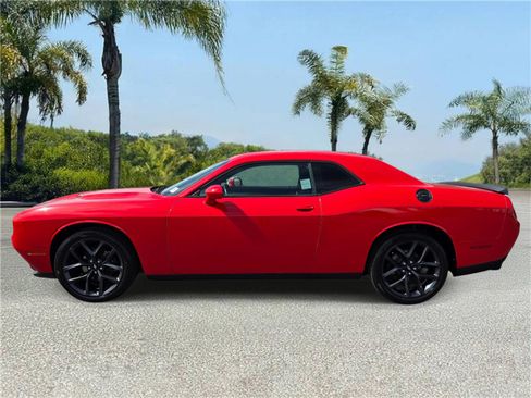 Certified 2019 Dodge Challenger SXT w/ Blacktop Package image 2