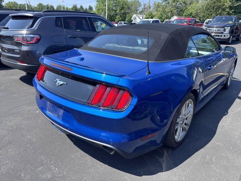 Used 2017 Ford Mustang Premium w/ Equipment Group 201A RWD image 4