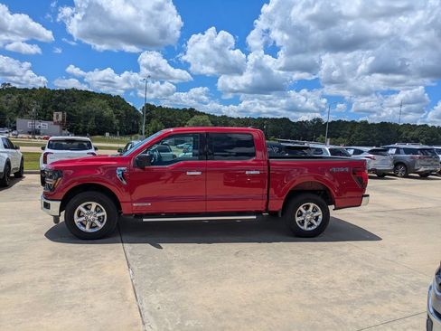 Used 2025 Ford F150 XLT w/ Equipment Group 301A Standard AWD/4WD image 2