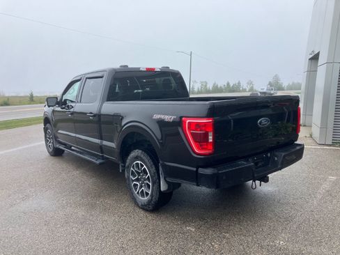 Used 2023 Ford F150 XLT w/ Equipment Group 302A High AWD/4WD image 3