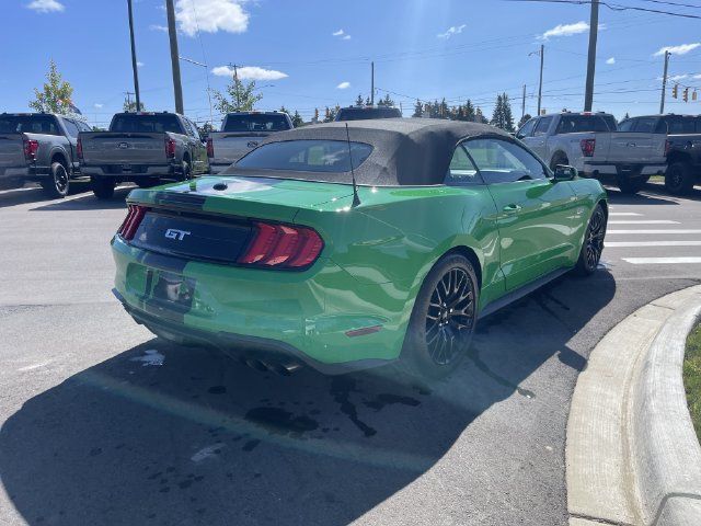 Used 2019 Ford Mustang GT Premium w/ GT Performance Package RWD image 6