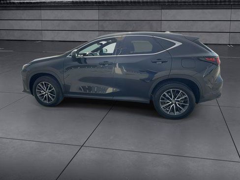 Certified 2025 Lexus NX 350h AWD w/ Cold Area Package image 5