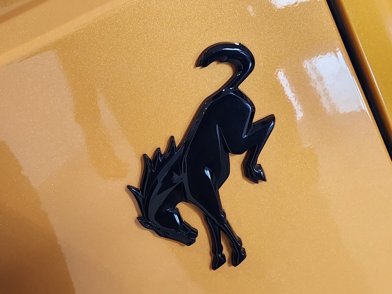 Certified 2021 Ford Bronco First Edition AWD/4WD image 9
