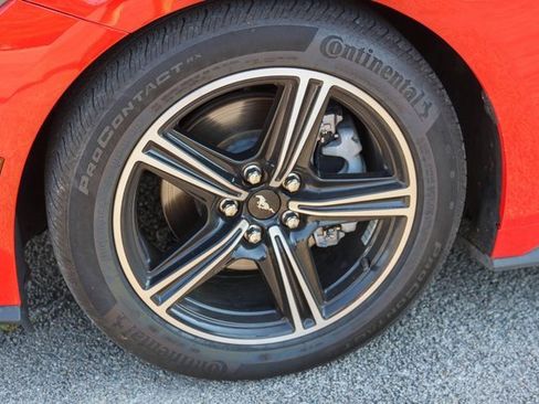 Used 2024 Ford Mustang Premium image 7