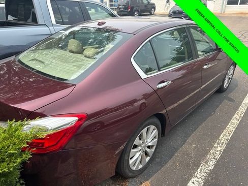 Used 2014 Honda Accord EX-L image 8