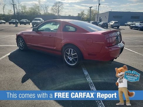 Used 2008 Ford Mustang Shelby GT500 RWD image 3