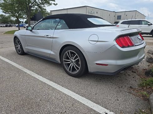 Used 2017 Ford Mustang Premium RWD image 5