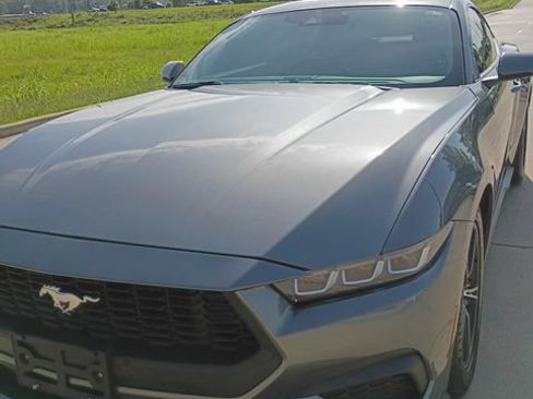 Used 2024 Ford Mustang Coupe RWD image 1
