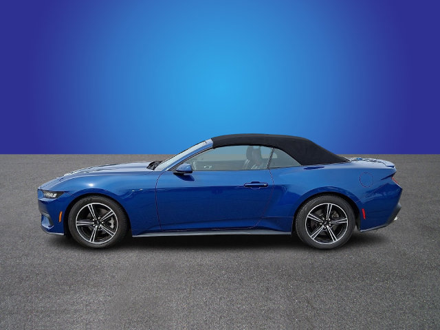 Used 2024 Ford Mustang Premium RWD image 7