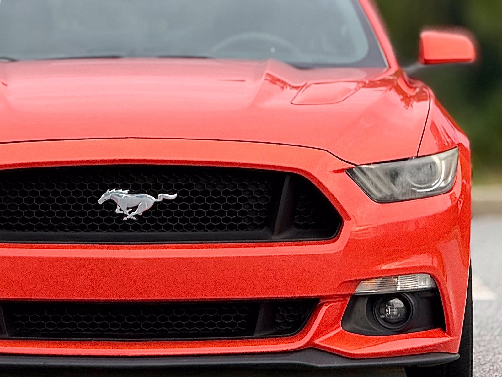 Used 2016 Ford Mustang GT RWD image 15