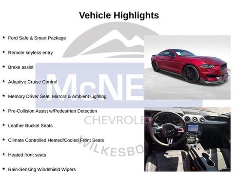 Used 2019 Ford Mustang GT Premium w/ Equipment Group 401A RWD image 10