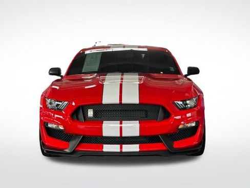 Used 2019 Ford Mustang Shelby GT350 w/ Technology Package image 9