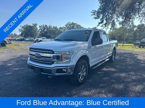 Used 2019 Ford F150 XLT w/ Equipment Group 302A Luxury AWD/4WD image 1