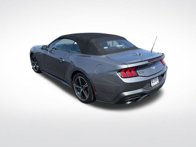 Used 2024 Ford Mustang Premium RWD image 5