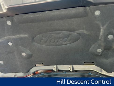 New 2025 Ford F150 XLT w/ Equipment Group 302A MID image 26