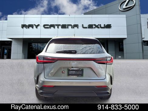 Certified 2024 Lexus NX 350 AWD image 5