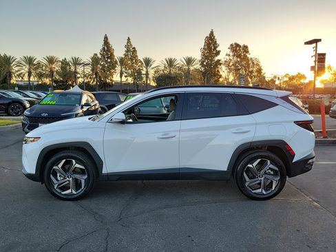 Certified 2023 Hyundai Tucson Limited image 3