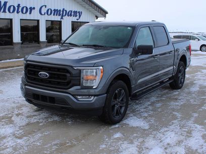 Used 2023 Ford F150 XLT w/ Equipment Group 302A High
