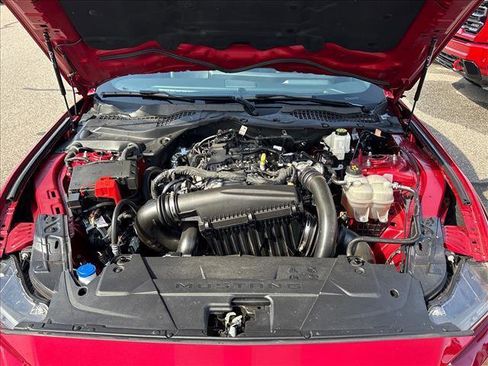 Used 2024 Ford Mustang Premium image 22