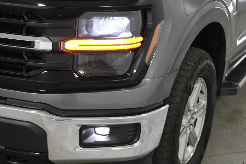 Used 2025 Ford F150 XLT w/ Equipment Group 301A Standard AWD/4WD image 13