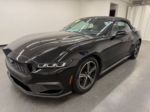 Used 2024 Ford Mustang Premium RWD image 4