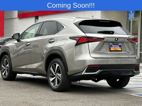 Used 2018 Lexus NX 300h AWD w/ Premium Package image 6