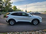 Used 2021 Ford Escape SE image 6