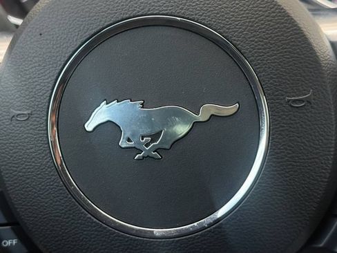 Used 2019 Ford Mustang Coupe RWD image 5