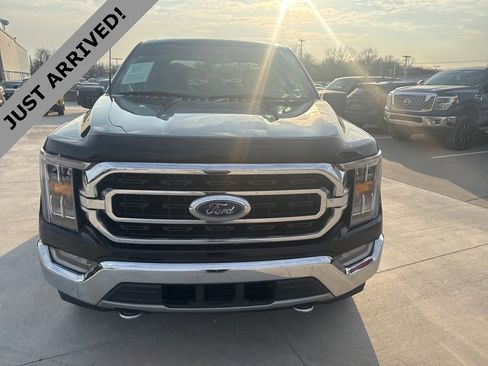 Used 2021 Ford F150 XLT w/ Equipment Group 302A High image 2