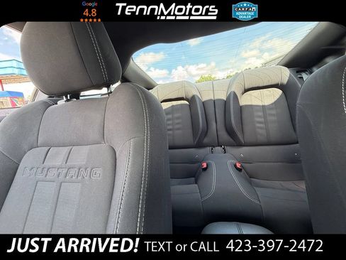 Used 2019 Ford Mustang GT RWD image 20
