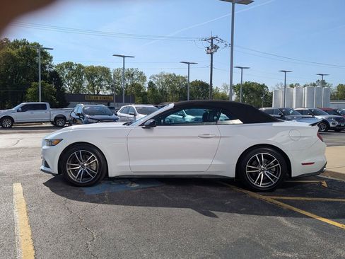 Used 2017 Ford Mustang Premium w/ Equipment Group 201A RWD image 6