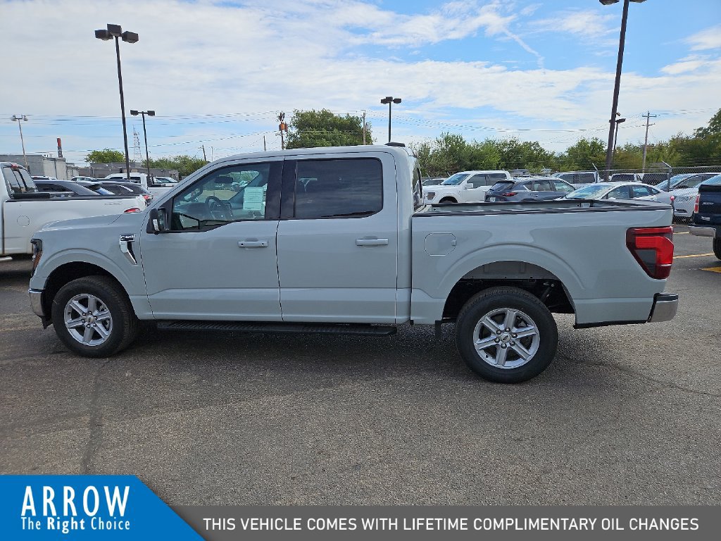 New 2026 Ford F150 XLT w/ Equipment Group 302A MID RWD image 7