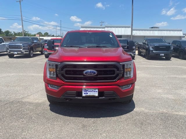 Used 2022 Ford F150 XLT w/ Equipment Group 302A High AWD/4WD image 9