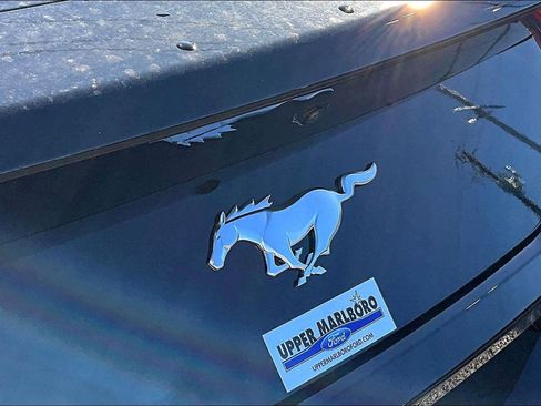 New 2026 Ford Mustang Coupe image 12