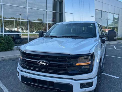Used 2024 Ford F150 XLT w/ Equipment Group 302A MID AWD/4WD image 2