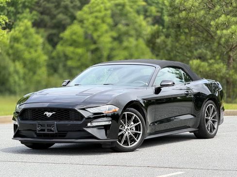Used 2019 Ford Mustang Premium w/ Equipment Group 201A RWD image 8