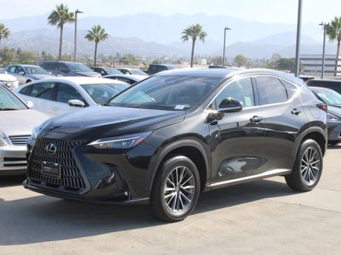 Certified 2026 Lexus NX 350h AWD w/ Cold Area Package image 3