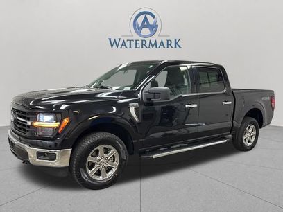 Used 2025 Ford F150 XLT w/ Equipment Group 301A Standard