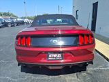 Used 2017 Ford Mustang Premium image 4