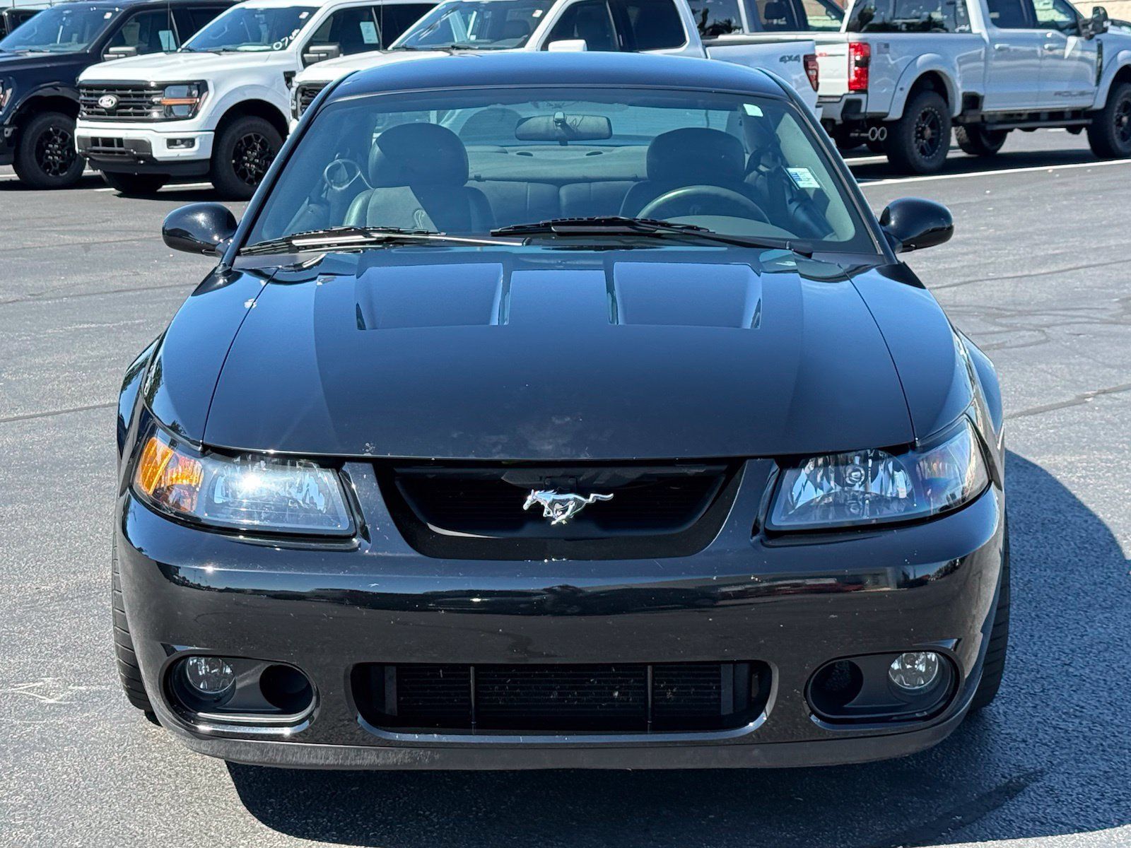 Used 2004 Ford Mustang Cobra RWD image 8