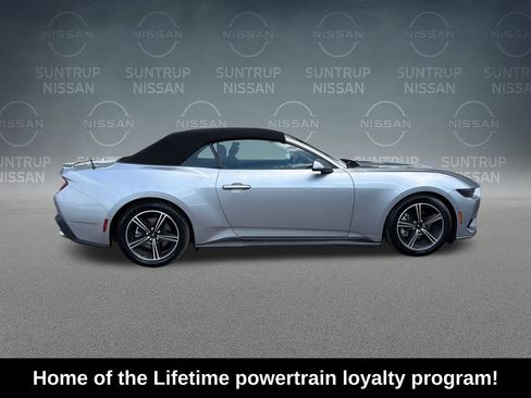 Used 2025 Ford Mustang Premium RWD image 7