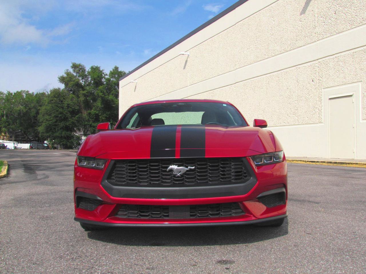Used 2024 Ford Mustang EcoBoost RWD image 13