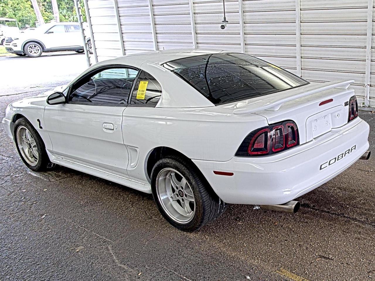 Used 1997 Ford Mustang Cobra RWD image 5