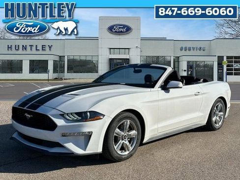 Used 2019 Ford Mustang Convertible image 1