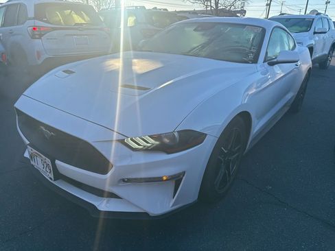 Used 2023 Ford Mustang Premium image 1
