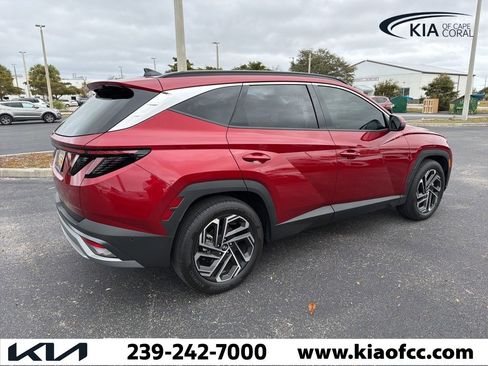 Used 2025 Hyundai Tucson Limited image 5