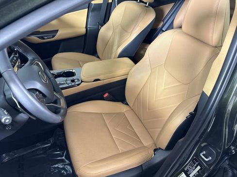 Certified 2025 Lexus NX 350h 350h Luxury w/ Cold Area Package image 22