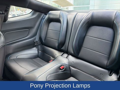 Used 2019 Ford Mustang GT Premium w/ Equipment Group 401A image 15