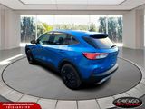 Used 2020 Ford Escape SE Sport image 5