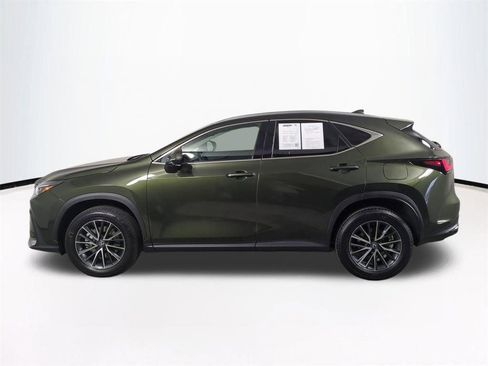 Used 2025 Lexus NX 350h AWD w/ Cold Area Package image 8